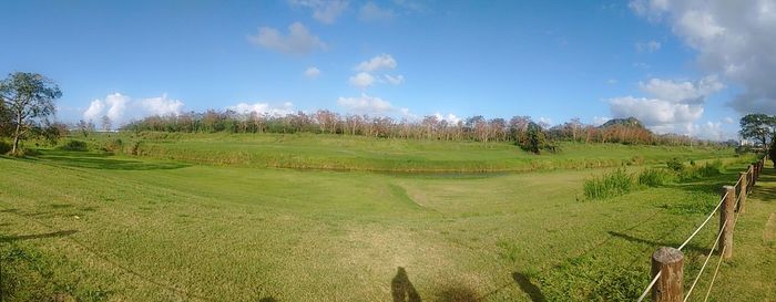 Scenic view of grassy field against sky