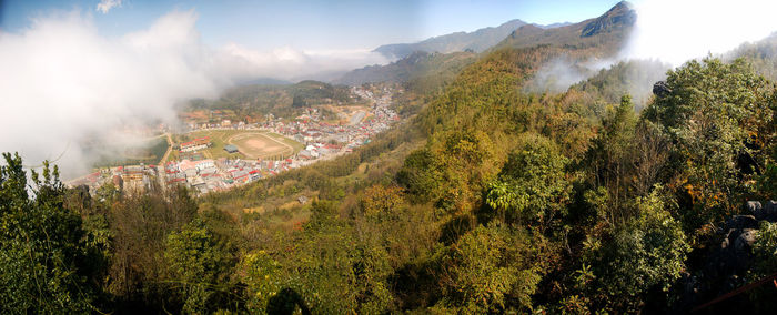 Panoramic view of trees on landscape against sky