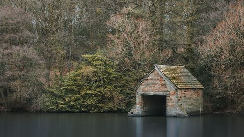 Scenic view of lake in forest