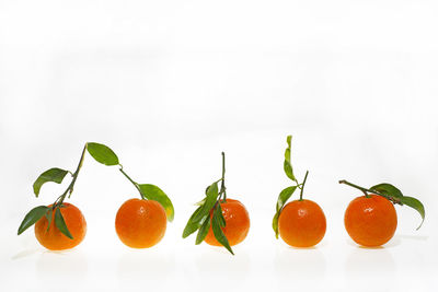 Close-up of fruits against white background