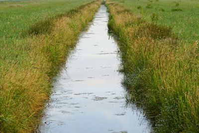 Canal amidst field