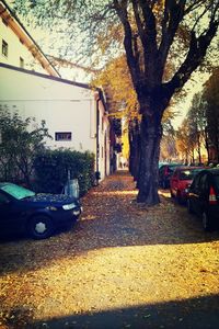 Cars parked on road