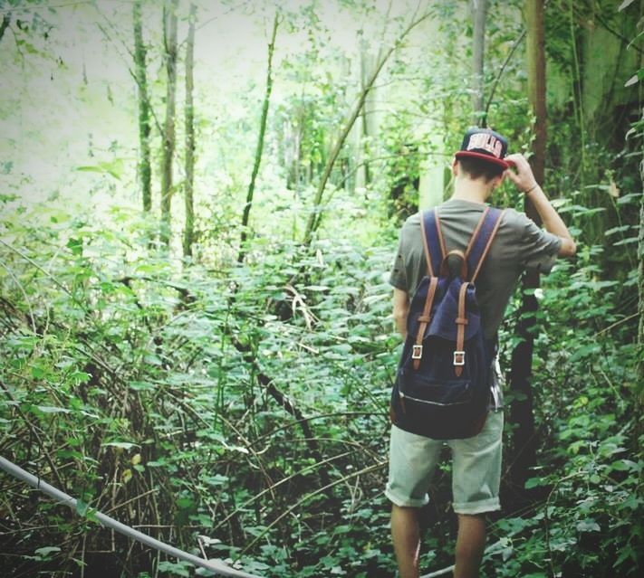 lifestyles, leisure activity, tree, rear view, full length, standing, casual clothing, three quarter length, young adult, forest, person, men, growth, nature, young women, plant, holding, side view