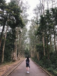 Rear view of man walking on road amidst trees