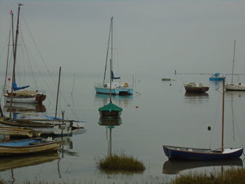 Sailboats moored in harbor