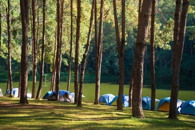 Tents on the camping ground at pang oung national park