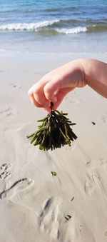 Close-up of hand holding sand at beach