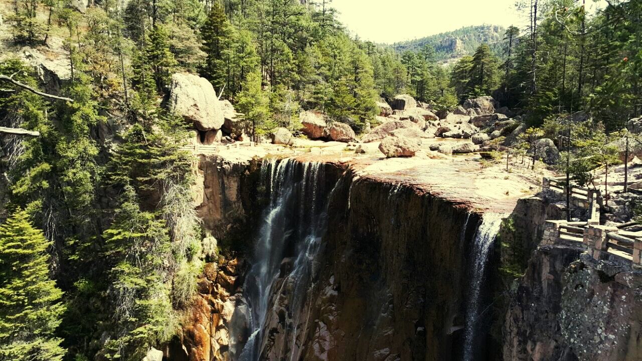 water, waterfall, flowing water, beauty in nature, scenics, tree, motion, rock - object, nature, flowing, long exposure, rock formation, forest, tranquil scene, tranquility, idyllic, river, growth, mountain, plant