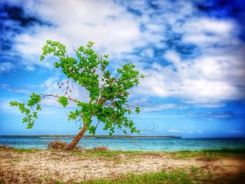 Scenic view of sea against cloudy sky