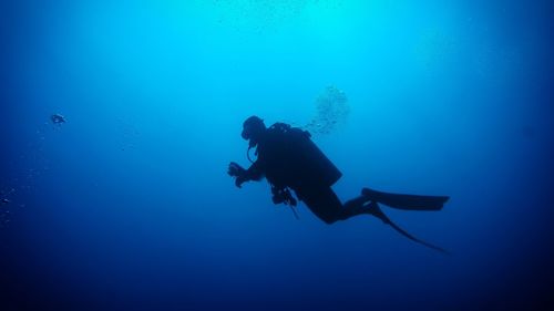 Scuba diver swimming in sea