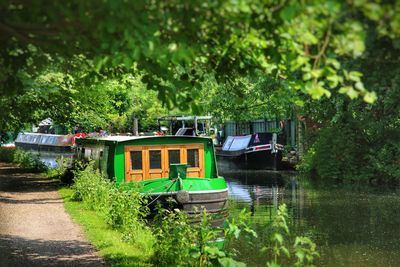 View of boats in river against trees