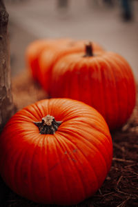 Close-up of pumpkins on field