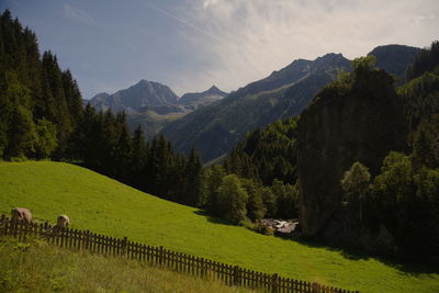 Scenic view of trees on field against mountains