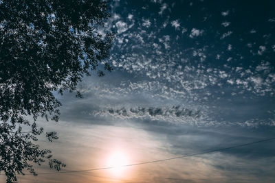 Low angle view of silhouette trees against sky at sunset