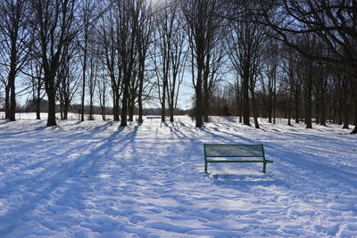 Bare trees on snow covered field during winter