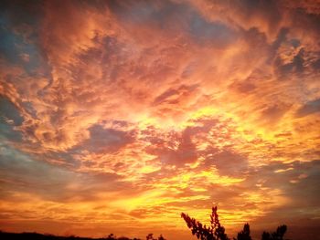 Low angle view of silhouette trees against dramatic sky during sunset
