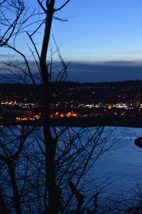 Silhouette of bare trees by river in city at night