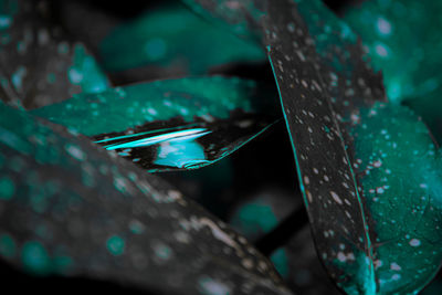 Close-up of water drops on metal