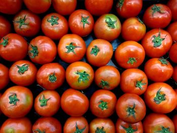 Full frame shot of tomatoes for sale at market stall