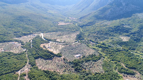 High angle view of tree mountain