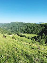 Scenic view of landscape against clear blue sky