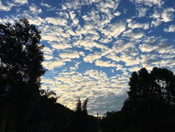 Low angle view of silhouette trees against sky