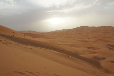 Scenic view of desert against sky