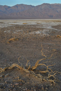 Scenic view of mountains