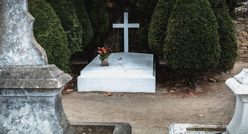 View of cross in cemetery