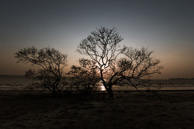 Silhouette bare tree on field against sky during sunset