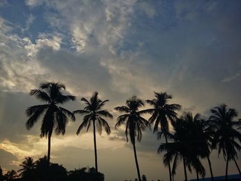 Low angle view of silhouette palm trees against sky