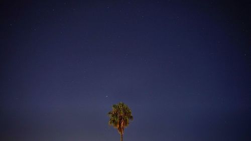 Low angle view of star field against star field