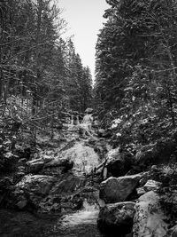 Stream flowing through rocks in forest