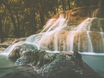 Scenic view of waterfall in forest