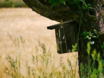Close-up of birdhouse on field against trees