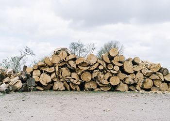 Stack of firewood