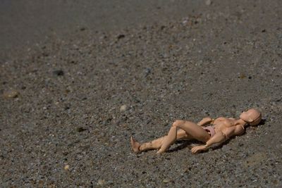 High angle view of young woman lying on sand at beach