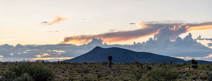 Scenic view of landscape against sky during sunset