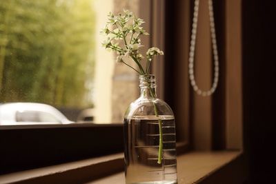 Close-up of flowers in bottle on window sill at home