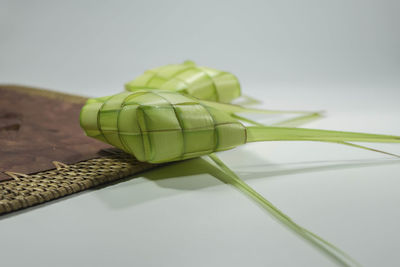 Close-up of green leaf on table against white background