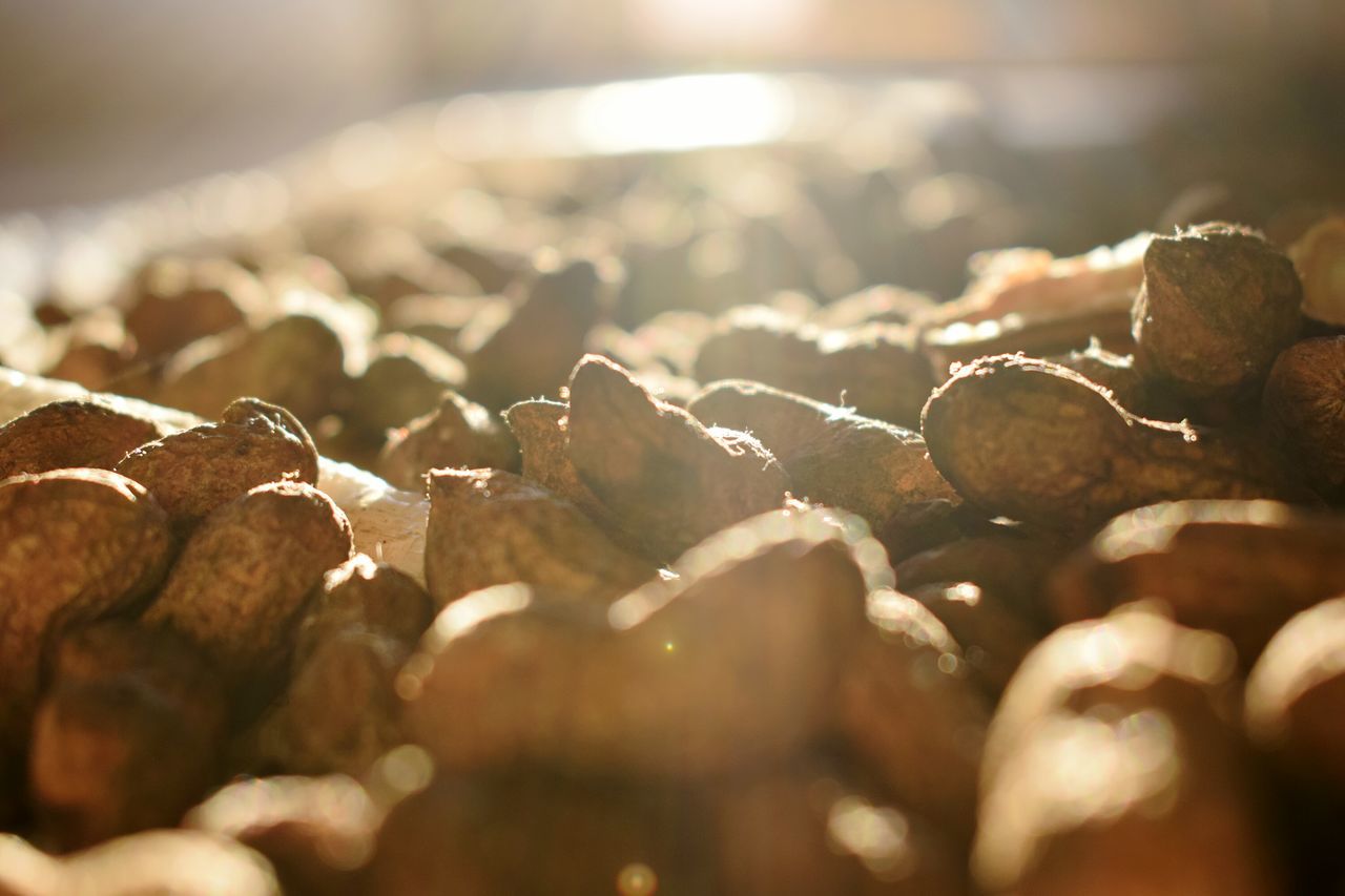 CLOSE-UP OF PEBBLES ON WATER