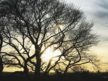 Silhouette bare tree against sky during sunset