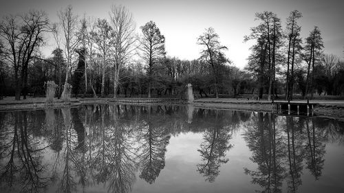 Reflection of trees in lake against sky