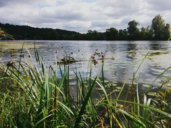 Scenic view of lake against sky