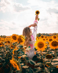 Low angle view of sunflower against cloudy sky