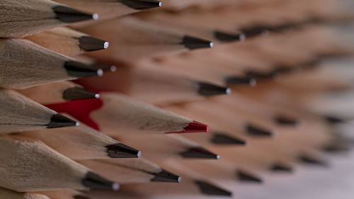 Many simple pencils and among them a red pencil. concept of difference from others