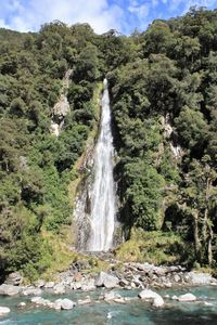 Scenic view of waterfall in forest