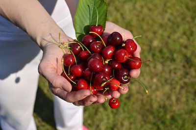Midsection of person holding red berries