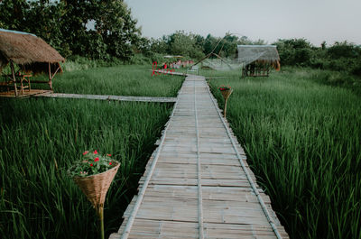 Boardwalk amidst plants on field against sky