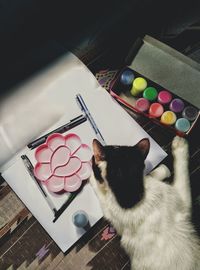 High angle view of cat on table at home